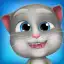 My Talking Bob Cat